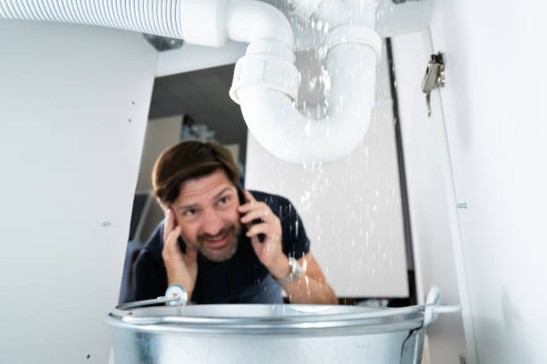 Best Residential Plumbing Services  in Park Forest, IL